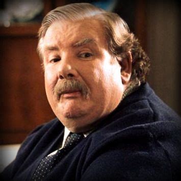 VERNON dursley - Pesquisa Google Harry Potter 2001, Rowling Harry Potter, Lily Potter, Harry ...