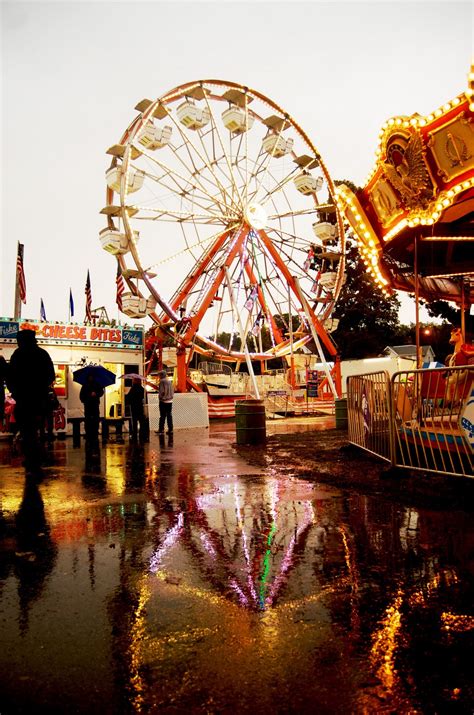 Shannon Odell: Hillsdale County Fair