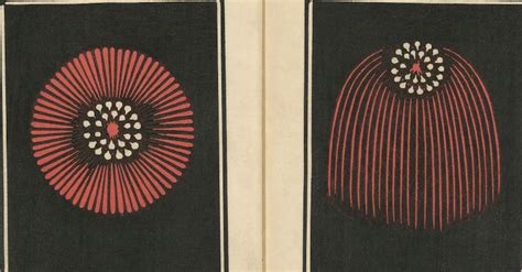 Hundreds of Wonderful Japanese Firework Designs from the Early-1900s: Digitized and Free to ...