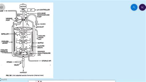 Bioreactor Design part 1 - YouTube