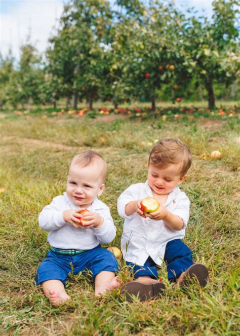 APPLE PICKING AT LYMAN ORCHARDS | Design Darling