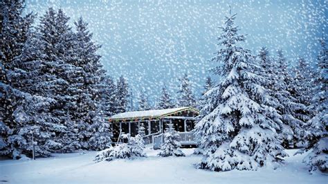 Download Cabin In Forest Snow Christmas Background | Wallpapers.com