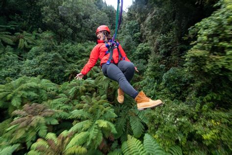 Rotorua Zipline Canopy Adventure Eco Forest Tours