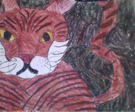 Tigerstar In The Dark Forest | Warrior Cats