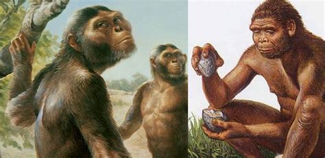 Four Hominin Species Co-Existed 3.8 Million Years Ago - Fossil Evidence Reveals - MessageToEagle.com