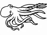 Octopus Coloring Pages  ColoringBay sketch template
