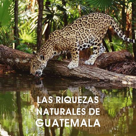 Riquezas Naturales de Guatemala by William Fernando Barrios Carrillo ...