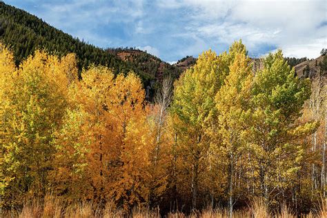 Autumn in the Sawtooth Mountains Photograph by William Campbell - Fine ...