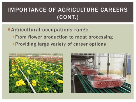 PPT - Careers in Agriculture PowerPoint Presentation, free download ...