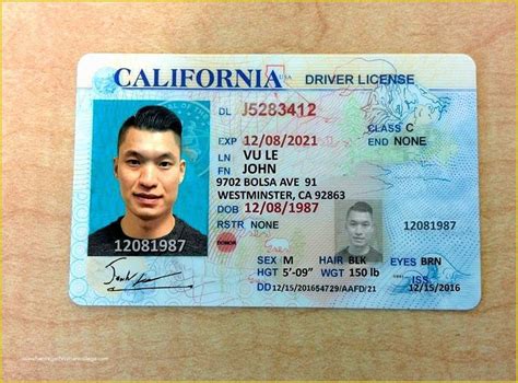 Free Fake Id Templates Online Of Free Printable Licenses and Id Cards ...