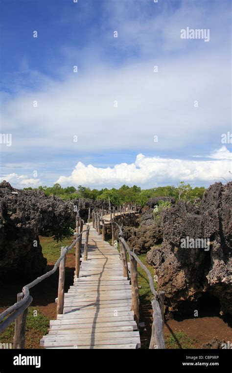 Boardwalk at the Coral garden, Wasini island, Kenya Stock Photo - Alamy