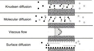 Gas Diffusion Layer: Characteristics and Modeling