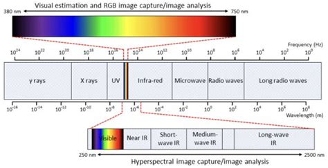 Paciencia Festival absceso hyperspectral imaging sensor recuperar Allí ...