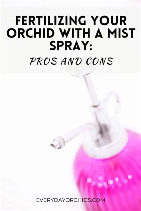 How To Feed Your Orchid Using A Fertilizer Mist Spray - Everyday Orchids