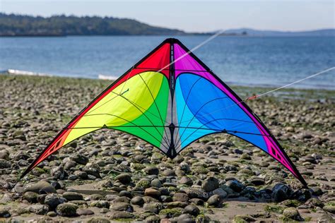 Dual Line Stunt Kites – Pro Kites USA