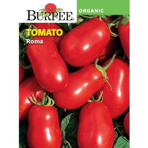 Burpee Organic Roma Tomato Vegetable Seed, 1-pack - Walmart.com - Walmart.com