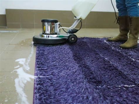 Steam Cleaning vs Shampooing Carpet Cleaning - Which Is Better?