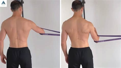 Lower Trapezius Activation Exercise for Pain-Free Mobility - Precision Movement