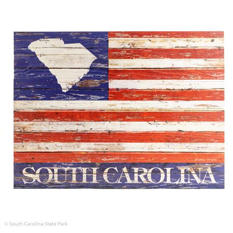 South Carolina American Flag - ADI01908 - South Carolina State Park Web Store