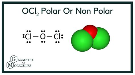 Is OCl2 Polar or Nonpolar (Dichlorine Monoxide) - YouTube