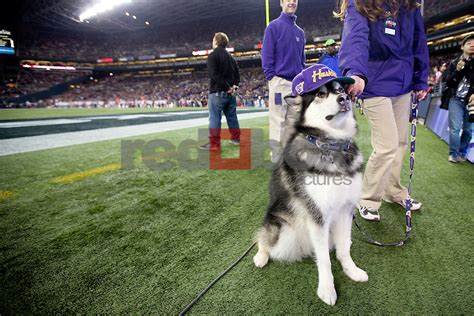 he University of Washington beat Washington State University to win the ...