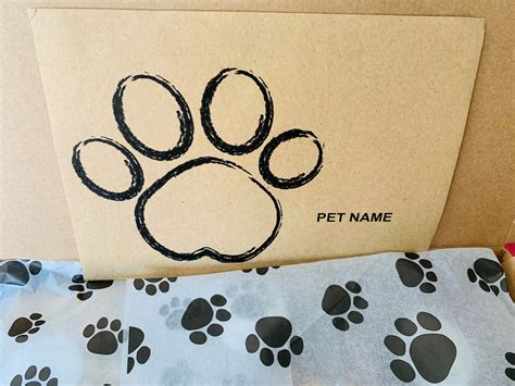 Dog Treat Box | Etsy