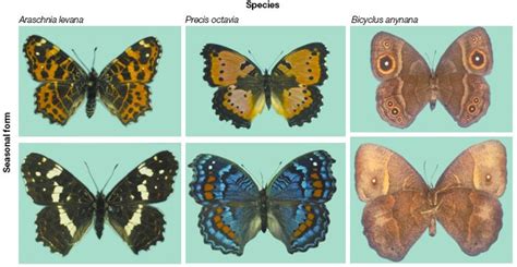 Pin on Food Feet Genetics