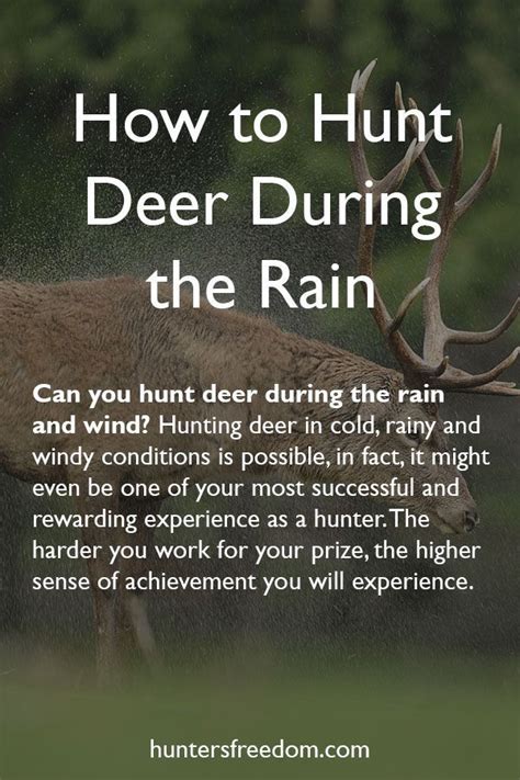 How to Hunt Deer During the Rain | Wilderness Horizon | Deer hunting tips, Whitetail hunting ...