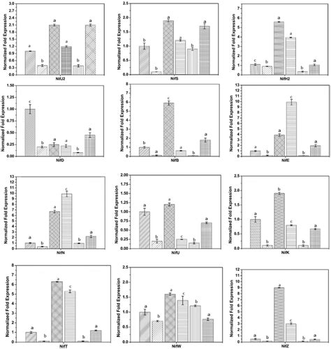 Differential nif gene expression in Anabaena under selected abiotic ...