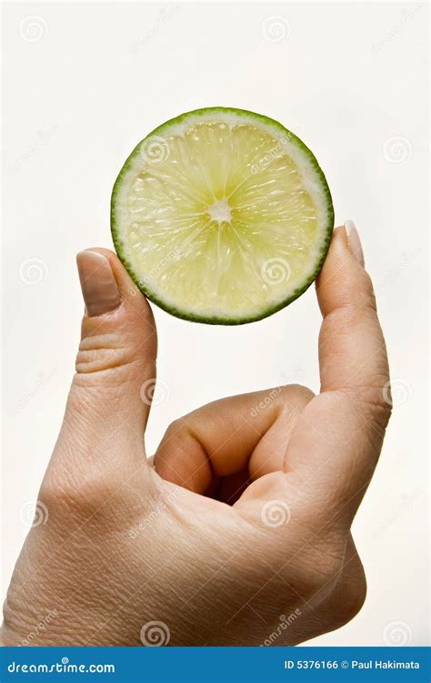 Lime wedge stock photo. Image of beautiful, sweet, beauty - 5376166