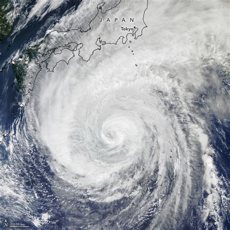 Typhoon Hagibis stuns scientists with size | Bangkok Tribune