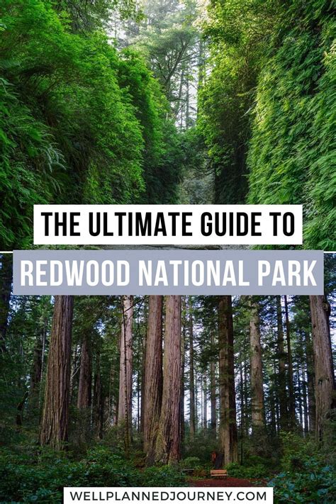 Discover the best Redwood National Park itinerary, including ...