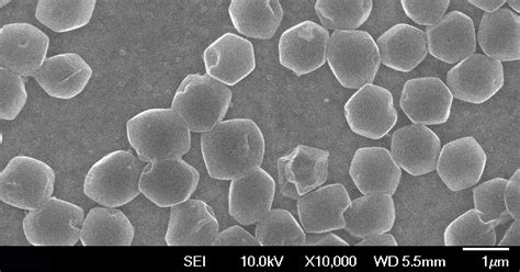 Progress Toward Fast-charging Lithium-metal Batteries