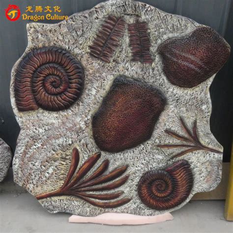 2021 Prehistoric Jurassic plant fossils - tradechina.com