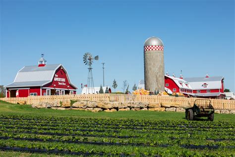 Kansas City's U-Pick Strawberry Farms - KC Parent Magazine