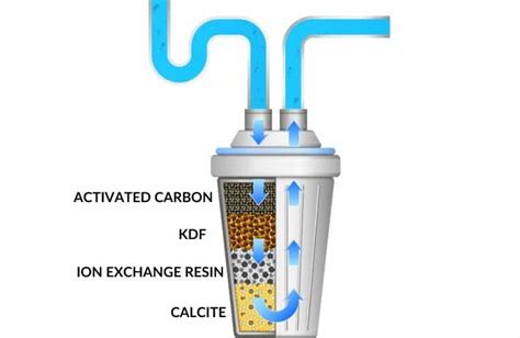 Purified vs Distilled Water: What's the Difference?