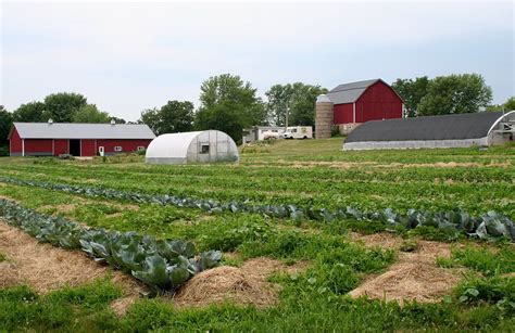 How To Start A Small Farm In Michigan - Leah Beachum's Template