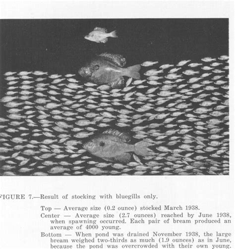 Figure 7 from Management of farm fish ponds | Semantic Scholar