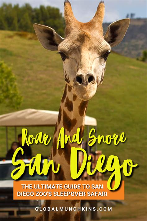 Roar and Snore San Diego: The Ultimate Guide to San Diego Zoo’s ...