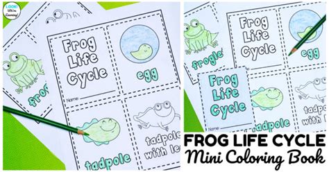 Printable Mini Frog Life Cycle Book for Kids - Look! We're Learning!