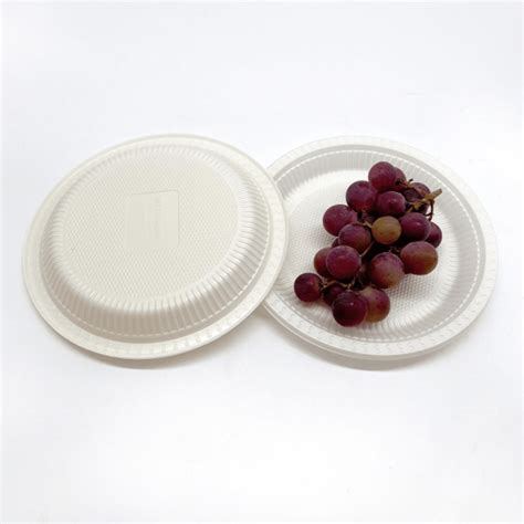 Understand Biodegradable Food Packaging Materials: A Comprehensive Overview