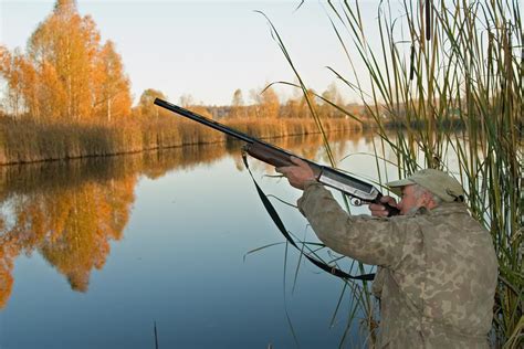 Wood Duck Hunting Tips - Best Scope Guide