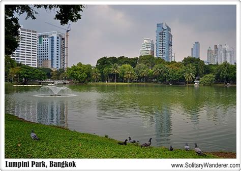 Bangkok’s Lumpini Park