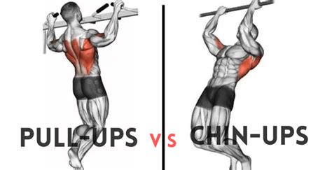 Chinups & Pullups, Thornton Gym | Adventure Fitness Athletic Club