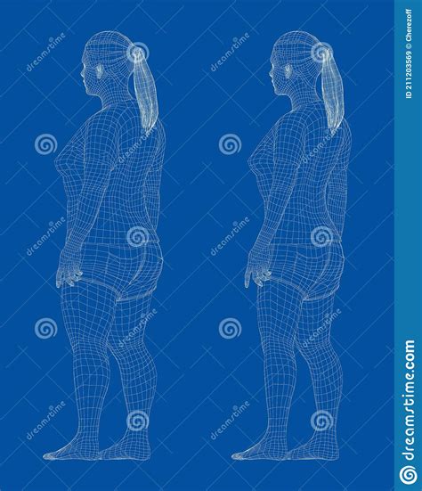 Fat and Slim Woman, before and after Weight Loss Stock Vector - Illustration of size, diet ...