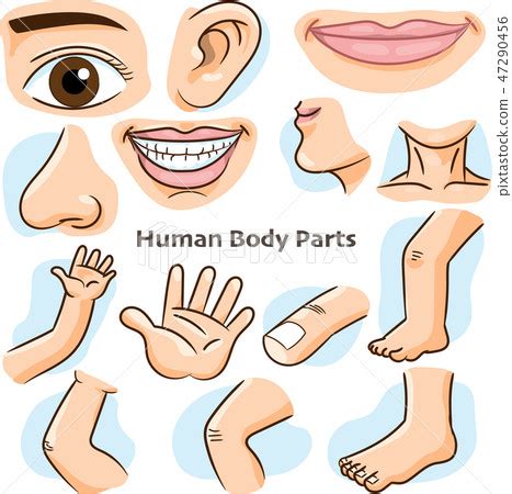 Different Body Parts And Different Diseases Of Human Body - Types Of ...