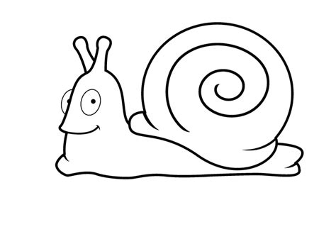 Free Cartoon Snail Pictures, Download Free Cartoon Snail Pictures png ...