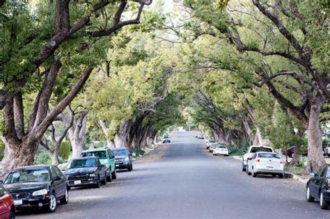 Discover These 7 Neighborhoods In Northeast Los Angeles | Neighborhoods ...