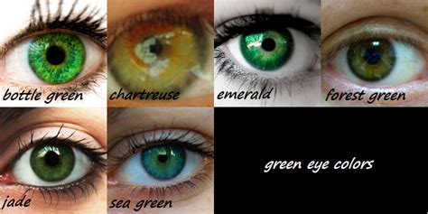 Green eyes | Green eyes, Eye color, Eyes