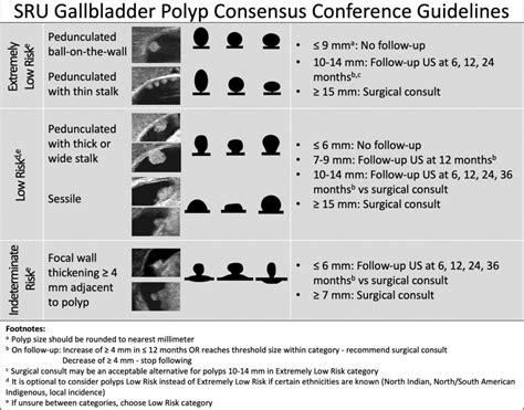 Gallbladder Polyp Guidelines – SRU | UW Ultrasound